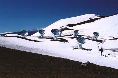 (Submillimeter Array)