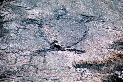 (Puako Petroglyhps)