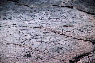 (Puako Petroglyphs)