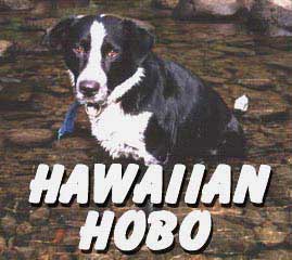 (Hawaiian Hobo)