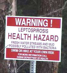 (Leptospirosis warning)
