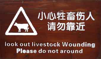 (Livestock Wounding)