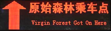 (Virgin Forest)