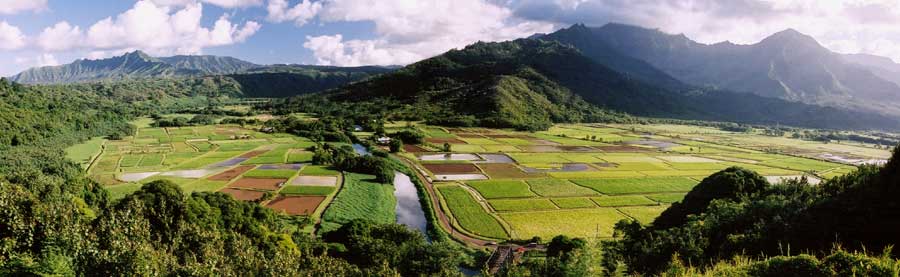 (Hanalei Valley overlook)