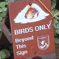 (Birds Only)