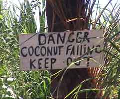 (Coconut Falling)