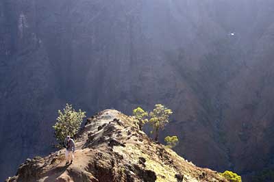 (Canyon Trail)