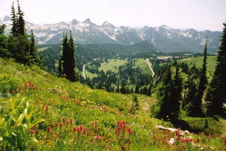 (Meadow and Tatoosh Range)